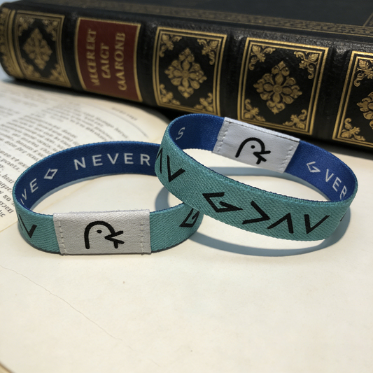 Wearable NFC chip duck-shaped wristband