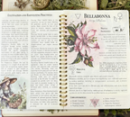 The Amish Herbalism Bible