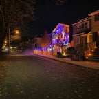 🔥Halloween Christmas LED House Net & Smart Outdoor Wall Curtain Light